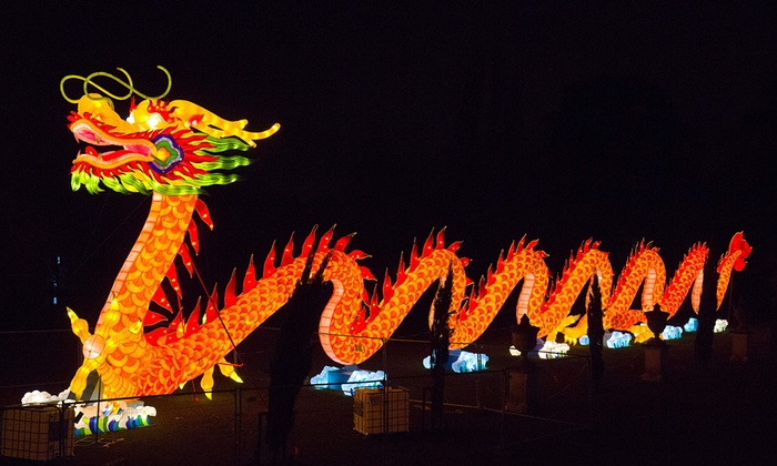 CHINA 8