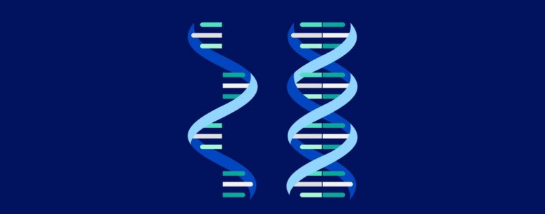 Navigating Uncertainty in Dynamic Markets with Strategic AI Foresight