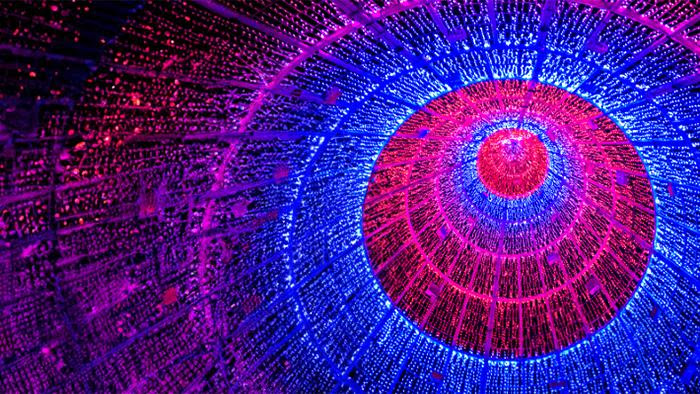 The Future of Privacy, AI, and Digital Transformation: A Strategic Outlook